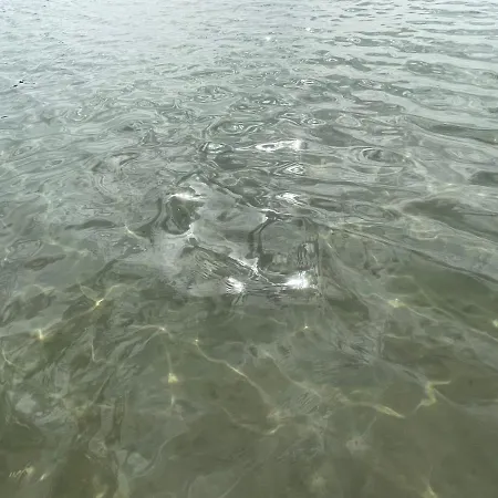 Le Ortensie In Centro E Vicino Al Mare * Pescara