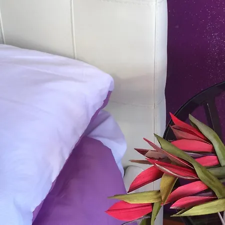 Le Ortensie In Centro E Vicino Al Mare