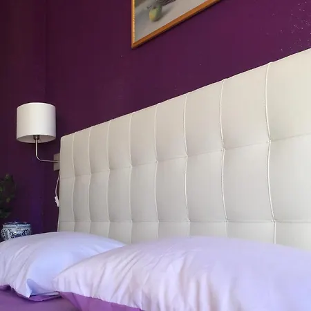 Le Ortensie In Centro E Vicino Al Mare *