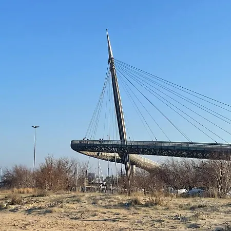 Le Ortensie In Centro E Vicino Al Mare