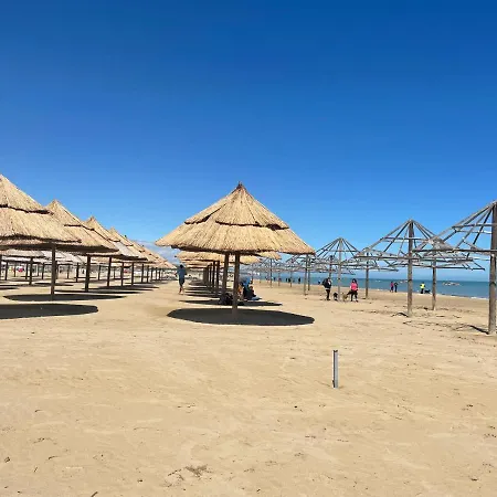 Le Ortensie In Centro E Vicino Al Mare * Pescara