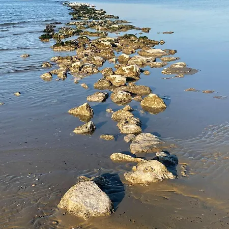 Le Ortensie In Centro E Vicino Al Mare * ペスカーラ