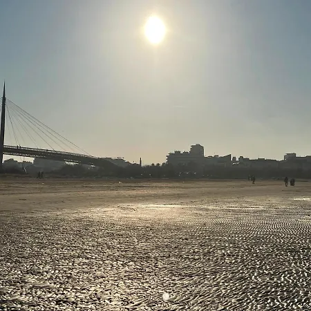 Le Ortensie In Centro E Vicino Al Mare * ペスカーラ