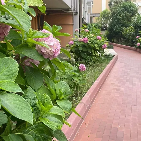 Le Ortensie In Centro E Vicino Al Mare * Pescara