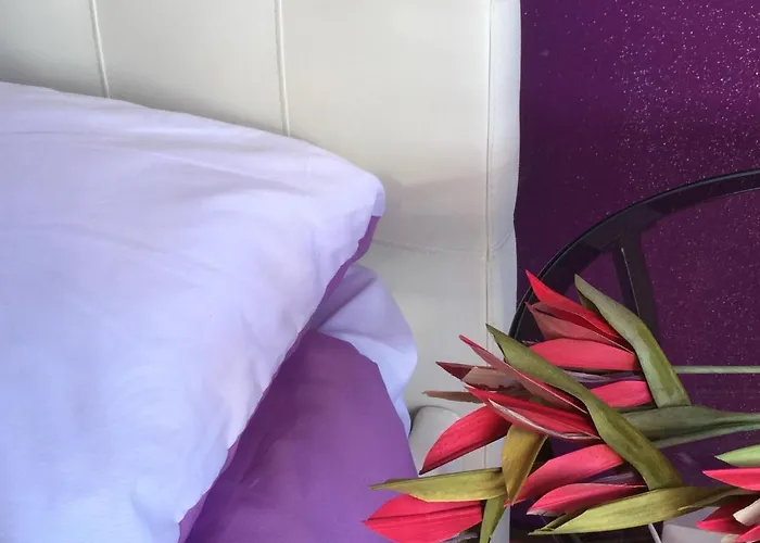 Le Ortensie In Centro E Vicino Al Mare