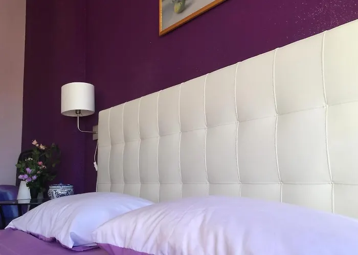 Le Ortensie In Centro E Vicino Al Mare *