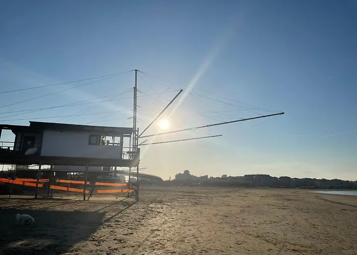 Le Ortensie In Centro E Vicino Al Mare Daire