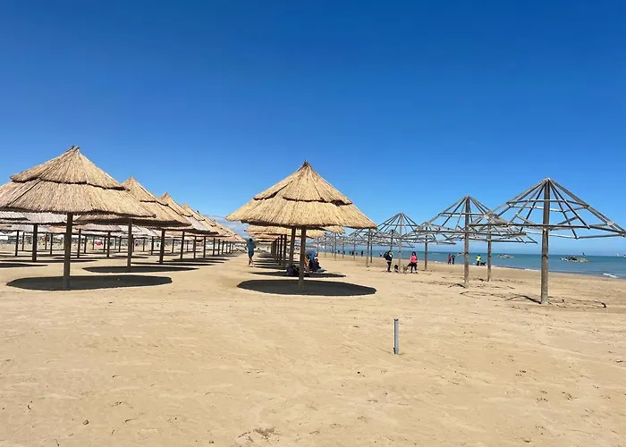 Le Ortensie In Centro E Vicino Al Mare * Pescara
