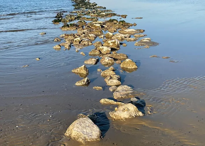 Le Ortensie In Centro E Vicino Al Mare * Pescara