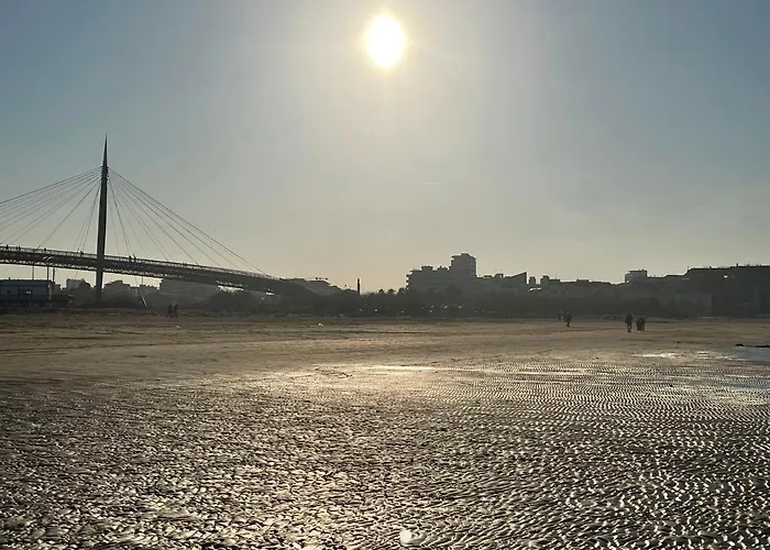 Le Ortensie In Centro E Vicino Al Mare * Pescara