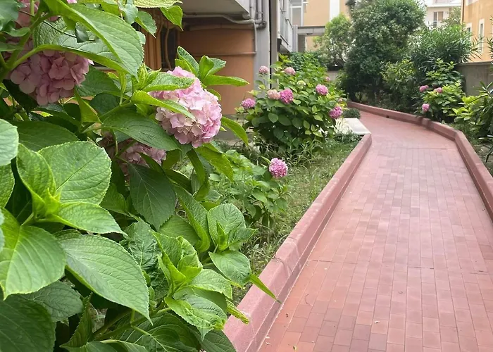 Le Ortensie In Centro E Vicino Al Mare * Pescara
