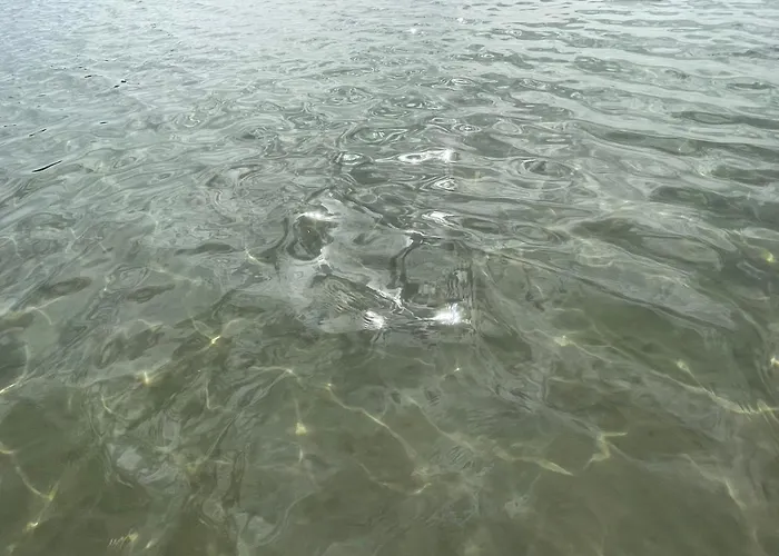 Le Ortensie In Centro E Vicino Al Mare * Πεσκάρα