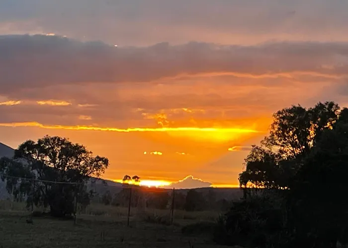 Daire Le Ortensie In Centro E Vicino Al Mare *